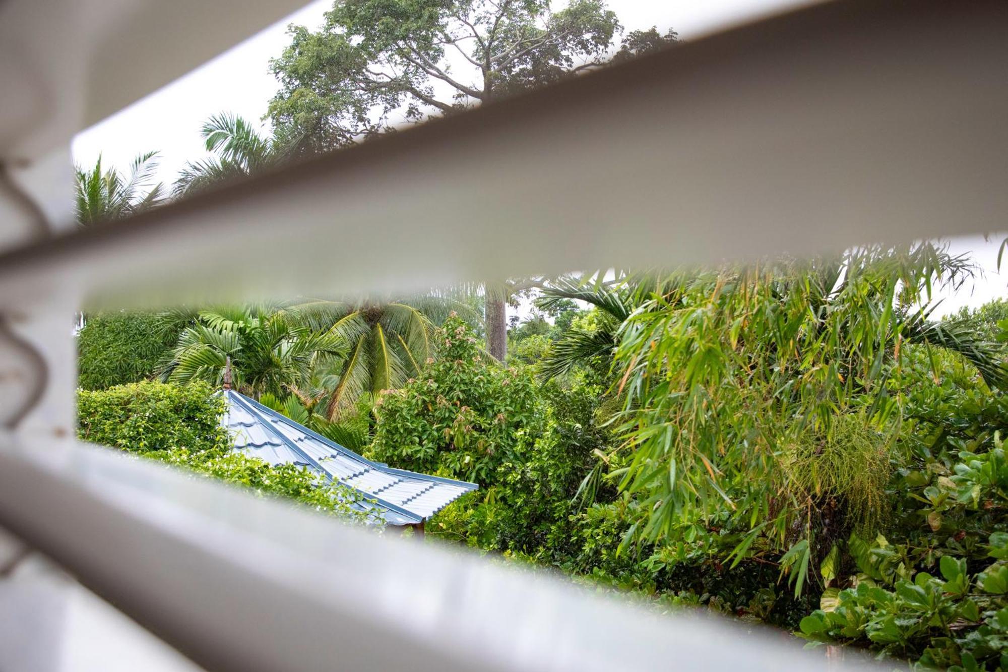 Lf Jungle Retreat Hotel Drapers Ngoại thất bức ảnh